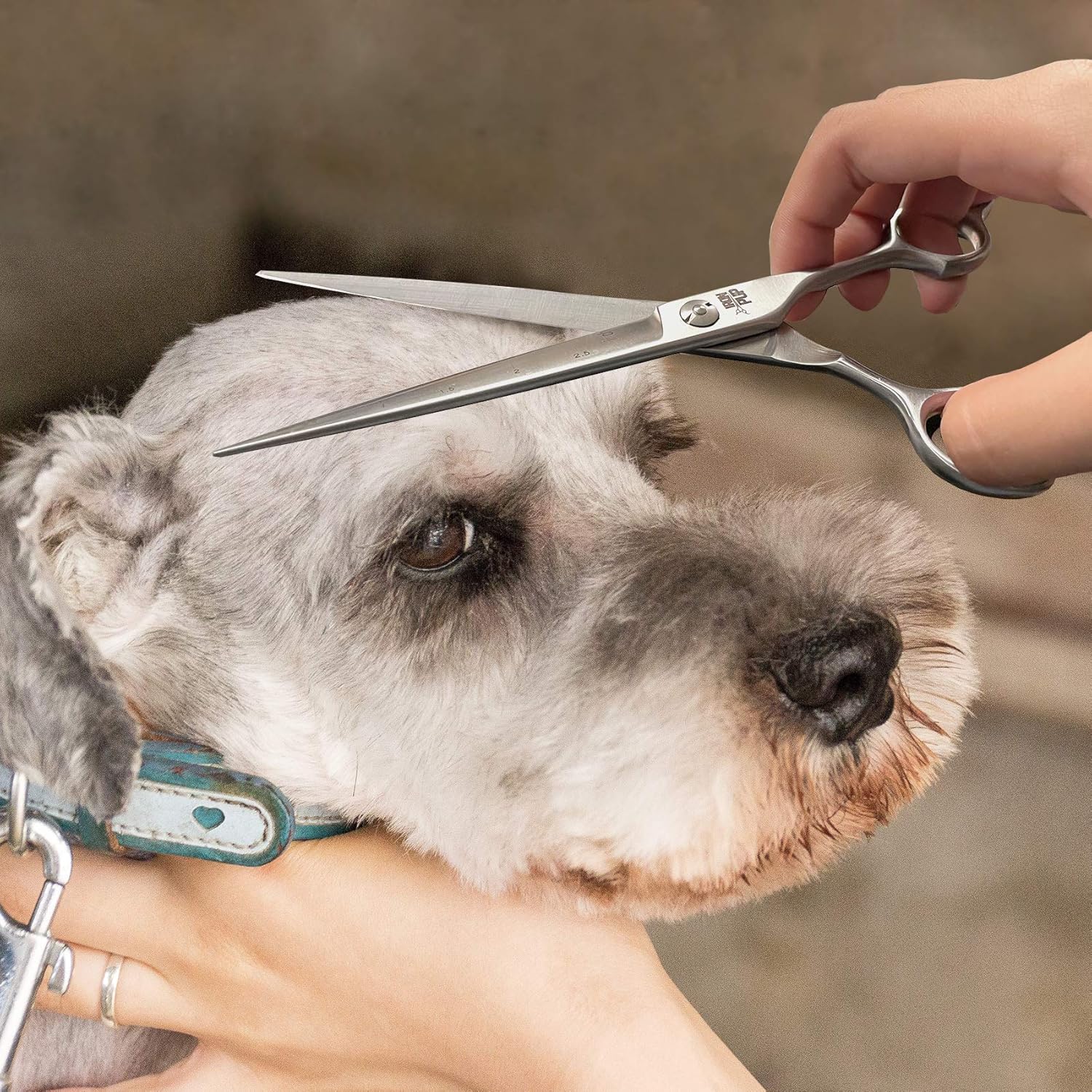 ✨最新ペットシザー✨ハイコバルトカーブシザーブレンダー切れ味抜群トリマー犬ペット ✨最新ペットシザー✨ハイコバルトカーブシザーブレンダー切れ味抜群